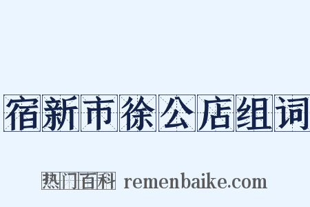 宿新市徐公店组词是什么意思的图片